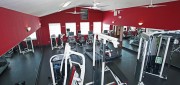 Does Physical Training Affect the Biomechanics of Bowling?